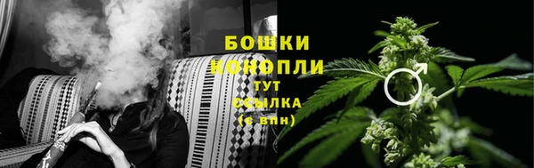 прущая мука Богородицк