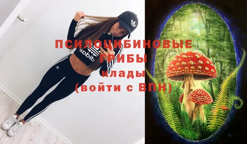 это какой сайт  магазин    kraken вход  Дно  Галлюциногенные грибы Magic Shrooms 